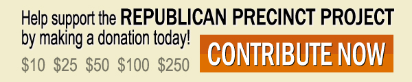 Republican Precinct Project_Donate Ad